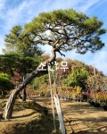 솔바위농원