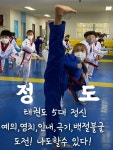 용인대정도태권도