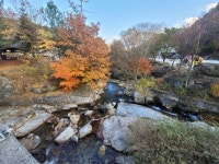 월성자연캠핑야영장