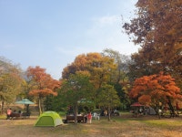 솔밭농장