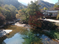 가평 노팅힐 계곡애견펜션