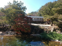 가평 노팅힐 계곡애견펜션