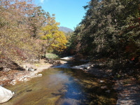 가평 노팅힐 계곡애견펜션
