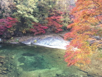 가평 노팅힐 계곡애견펜션