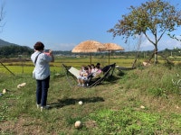 헤이리치타조농장