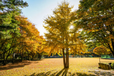 초호쉼터 단체펜션