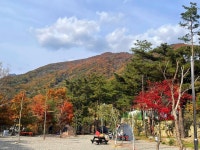 오색산새소리캠핑장