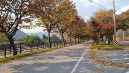 꽃들의 물감찾기펜션