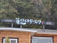 꿀밤나무식당