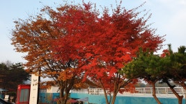 프로방스펜션