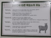 할매흑염소탕