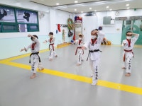 용인대석사강담태권도