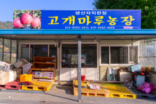 영주소백팜