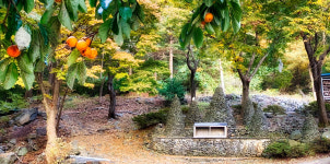 아미산 기도도량