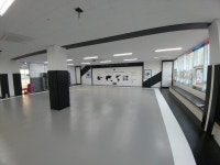 태권매트