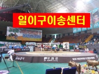 129이송센터
