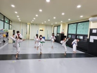 경희대상지효태권도