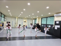 경희대상지효태권도