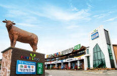 평창영월정선축협 본점
