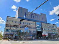 스타세븐