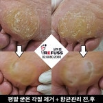 레푸스 상도점
