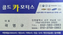 골드카모터스