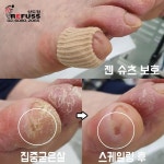 레푸스 상도점