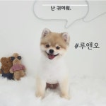 루앤오