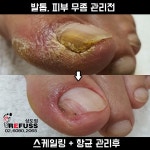레푸스 상도점