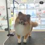 루앤오