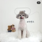 루앤오