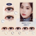 렌즈미 속초점