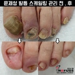 레푸스 상도점