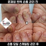 레푸스 상도점