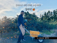 중문더드림감귤