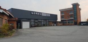 녹주맥반석