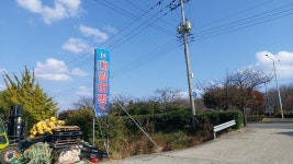 대일어망