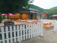 선애체험학교