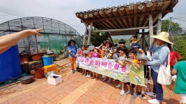 낙안블루베리농장