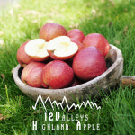 열두당골 선호농원