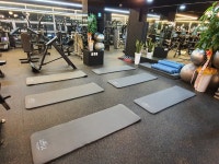 머슬서포트짐 하가점