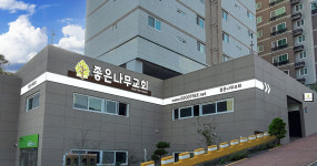 좋은나무교회