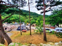 오색산새소리캠핑장