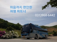 신항공여행사
