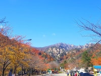 오색산새소리캠핑장