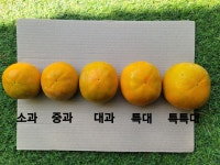금산농원
