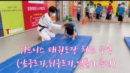 국가대표휘트니스태권도