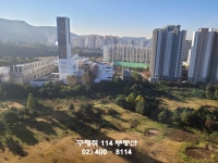 구해줘114공인중개사사무소