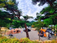 오색산새소리캠핑장