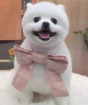 똘이살롱